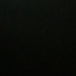 Meet your Posher, Dinah